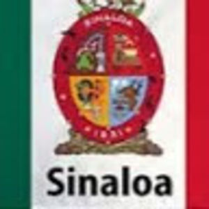 Meet your Posher, Omar adrian